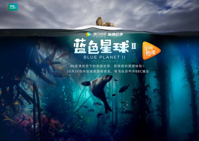 夜流年剧照1